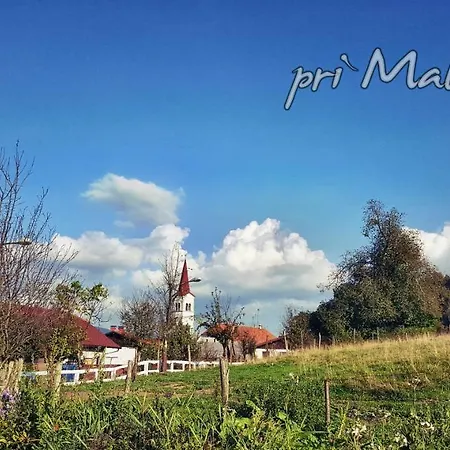 Bauernhof Turisticna Kmetija Pri Malnarjevih *