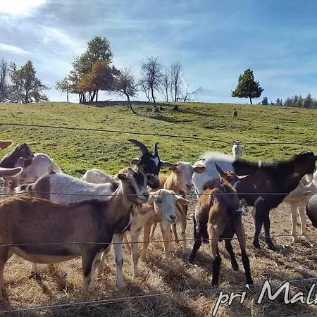 Turisticna Kmetija Pri Malnarjevih