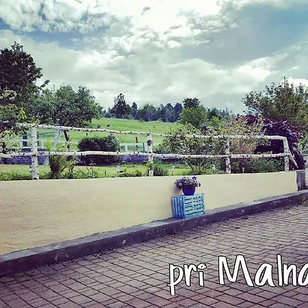 Bauernhof Turisticna Kmetija Pri Malnarjevih